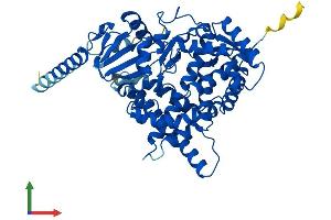 AlphaFold protein structure predicition of Human Recombinant CYP46A1 Protein, UniprotID Q9Y6A2