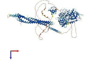 AlphaFold protein structure predicition of Human Recombinant ASAP2 Protein, UniprotID O43150