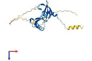 AlphaFold protein structure predicition of Human Recombinant CBX5 Protein, UniprotID P45973