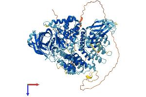 AlphaFold protein structure predicition of Mouse Recombinant Taf2 Protein, UniprotID Q8C176