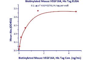 Measured by its binding ability in a functional ELISA.