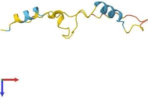 AlphaFold protein structure predicition of Human Recombinant PKIG Protein, UniprotID Q9Y2B9
