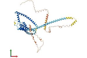 AlphaFold protein structure predicition of Human Recombinant KCNK10 Protein, UniprotID P57789