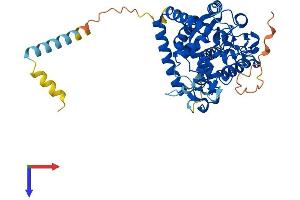 AlphaFold protein structure predicition of Human Recombinant GAL3ST3 Protein, UniprotID Q96A11