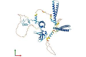 AlphaFold protein structure predicition of Human Recombinant ZGPAT Protein, UniprotID Q8N5A5