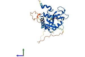AlphaFold protein structure predicition of Human Recombinant PCGF5 Protein, UniprotID Q86SE9