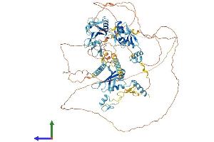 AlphaFold protein structure predicition of Human Recombinant RBM10 Protein, UniprotID P98175