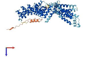AlphaFold protein structure predicition of Human Recombinant ZDHHC13 Protein, UniprotID Q8IUH4