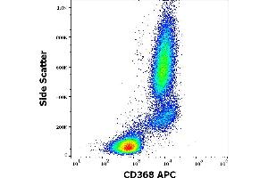Flow cytometry surface staining pattern of human peripheral whole blood stained using anti-human CD368 (9B9) APC antibody (10 μL reagent / 100 μL of peripheral whole blood). (CLEC4D anticorps  (APC))