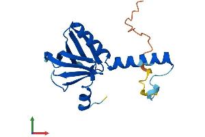 AlphaFold protein structure predicition of Mouse Recombinant Plekhj1 Protein, UniprotID Q9D240