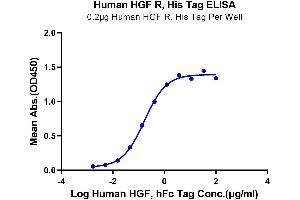 Immobilized Human HGF R, His Tag at 2 μg/mL (100 μL/Well). (c-MET Protein (AA 25-932) (His-Avi Tag))