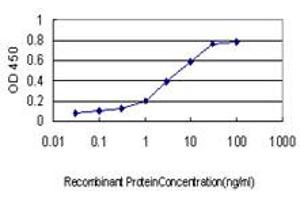 Detection limit for recombinant GST tagged DDX41 is approximately 0. (DDX41 anticorps  (AA 523-622))