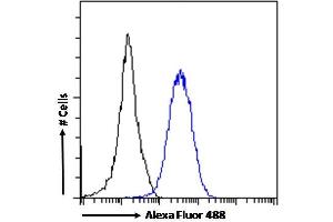 (ABIN625825) Flow cytometric analysis of paraformaldehyde fixed HeLa cells (blue line), permeabilized with 0.