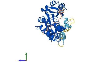 AlphaFold protein structure predicition of Mouse Recombinant Sult4a1 Protein, UniprotID P63046