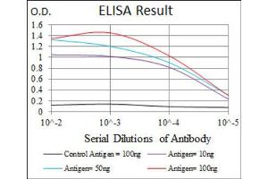 Red: Control Antigen (100ng) ; Purple: Antigen (10ng) ; Green: Antigen (50ng) ; Blue: Antigen (100ng). (FAS anticorps)
