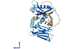 AlphaFold protein structure predicition of Mouse Recombinant Pih1d2 Protein, UniprotID Q8CHR9