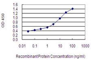 Detection limit for recombinant GST tagged IMPG2 is 0.