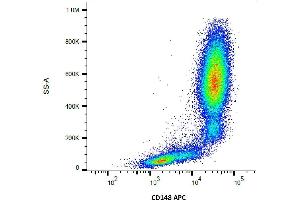 Surface staining of human peripheral blood using anti-CD148 (MEM-CD148/05) APC.