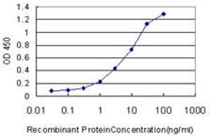 Detection limit for recombinant GST tagged ARHGDIA is approximately 0. (ARHGDIA anticorps  (AA 1-204))