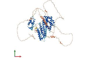 AlphaFold protein structure predicition of Mouse Recombinant Rfx4 Protein, UniprotID Q7TNK1