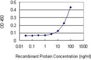 Detection limit for recombinant GST tagged SETDB2 is 3 ng/ml as a capture antibody. (SETDB2 anticorps  (AA 620-719))