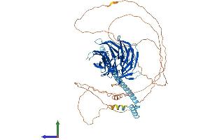 AlphaFold protein structure predicition of Human Recombinant TLE2 Protein, UniprotID Q04725