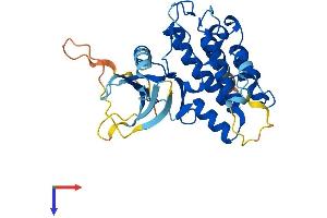 AlphaFold protein structure predicition of Mouse Recombinant Pbk Protein, UniprotID Q9JJ78