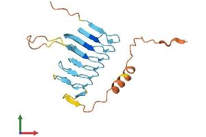 AlphaFold protein structure predicition of Human Recombinant DCTN6 Protein, UniprotID O00399
