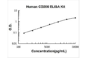 Typical Standard Curve