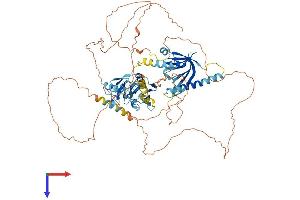 AlphaFold protein structure predicition of Human Recombinant APBA2 Protein, UniprotID Q99767