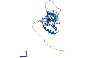 AlphaFold protein structure predicition of Mouse Recombinant Yod1 Protein, UniprotID Q8CB27