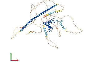 AlphaFold protein structure predicition of Mouse Recombinant Sox13 Protein, UniprotID Q04891