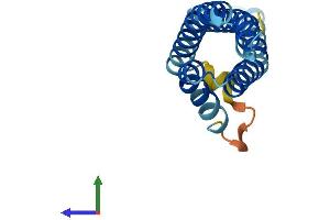 AlphaFold protein structure predicition of Mouse Recombinant Cnih3 Protein, UniprotID Q6ZWS4