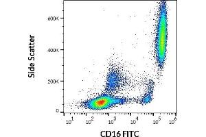 Flow cytometry surface staining pattern of human peripheral whole blood stained using anti-human CD16 (LNK16) FITC (20 μL reagent / 100 μL of peripheral whole blood). (CD16 anticorps  (FITC))