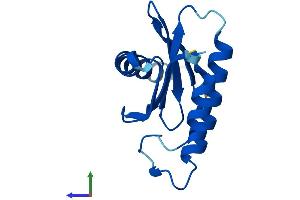 AlphaFold protein structure predicition of Human Recombinant TRAPPC2L Protein, UniprotID Q9UL33 (TRAPPC2L Protein (AA 1-140) (His tag))