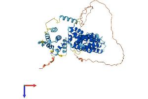 AlphaFold protein structure predicition of Human Recombinant FANCE Protein, UniprotID Q9HB96