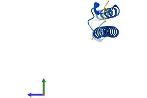 AlphaFold protein structure predicition of Human Recombinant CMC2 Protein, UniprotID Q9NRP2