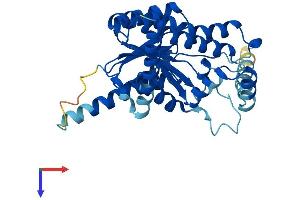 AlphaFold protein structure predicition of Human Recombinant RDH10 Protein, UniprotID Q8IZV5