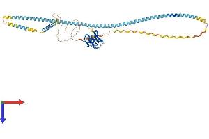 AlphaFold protein structure predicition of Mouse Recombinant Scara5 Protein, UniprotID Q8K299
