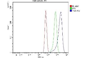 Flow Cytometry analysis of U87 cells using anti-14-3-3 Gamma/YWHAG antibody (ABIN7599673). (14-3-3 gamma anticorps  (AA 107-138))