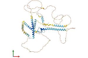 AlphaFold protein structure predicition of Human Recombinant GATAD2B Protein, UniprotID Q8WXI9