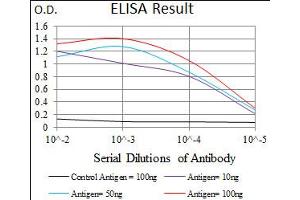 Image no. 3 for anti-Mesoderm Posterior 2 Homolog (Mesp2) antibody (ABIN1491466)
