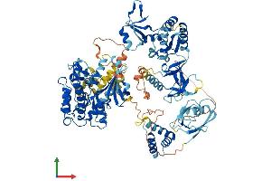 AlphaFold protein structure predicition of Human Recombinant CASK Protein, UniprotID O14936