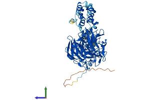 AlphaFold protein structure predicition of Human Recombinant KLHL3 Protein, UniprotID Q9UH77