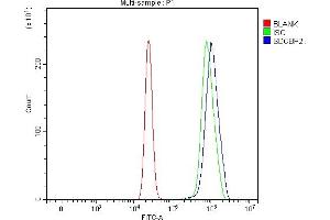 Flow Cytometry analysis of U20S cells using anti-Syntenin 2/SDCBP2 antibody (ABIN7600017).