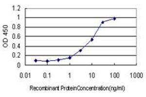 Detection limit for recombinant GST tagged RIT2 is approximately 0.