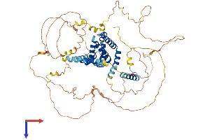 AlphaFold protein structure predicition of Human Recombinant EPN3 Protein, UniprotID Q9H201