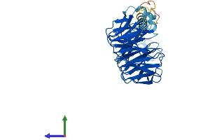 AlphaFold protein structure predicition of Mouse Recombinant Pafah1b1 Protein, UniprotID P63005
