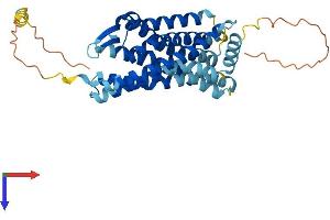 AlphaFold protein structure predicition of Human Recombinant CXCR3 Protein, UniprotID P49682
