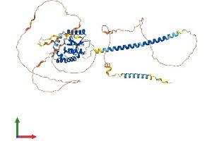 AlphaFold protein structure predicition of Mouse Recombinant Otud5 Protein, UniprotID Q3U2S4